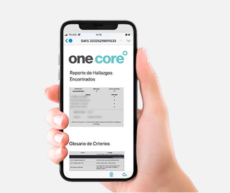 auditorias-comercio-exterior-pedimentos-imagen-plataforma-mobile