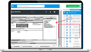 expedientes-electronicos-de-comercio-exterior-computadora