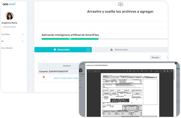 expedientes-electronicos-de-comercio-exterior-identifica-y-ordena