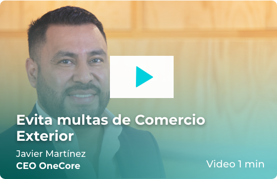 sistema-integral-de-comercio-exterior-thumbnail-1