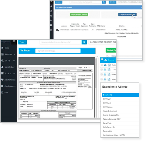 software-de-comercio-exterior-modulo-files