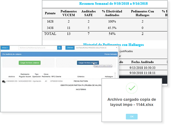 software-de-comercio-exterior-modulo-safe